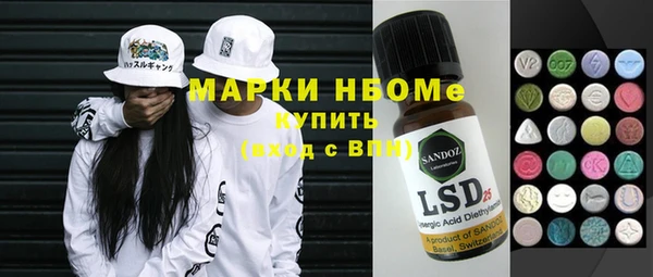 индика Мегион