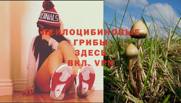дурь Медвежьегорск