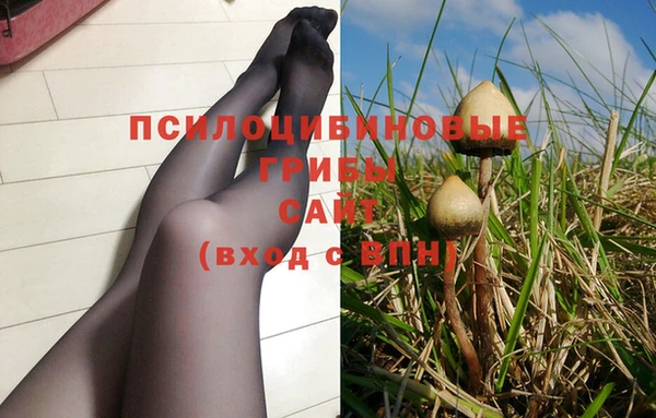 индика Мегион
