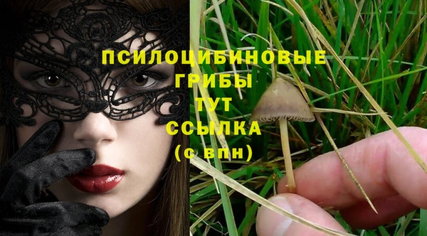 индика Мегион