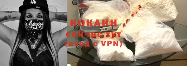 индика Мегион
