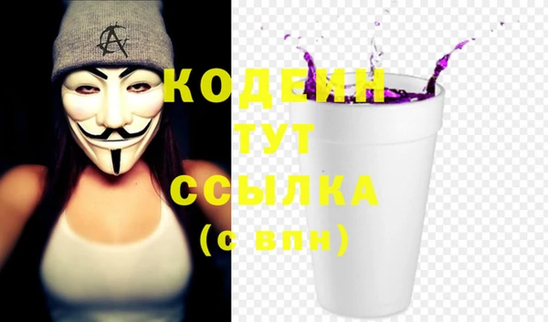 индика Мегион