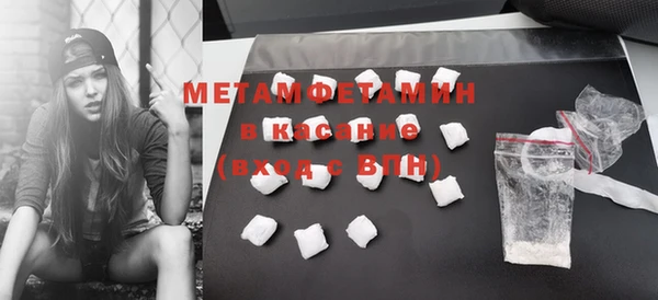 индика Мегион