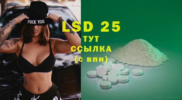 индика Мегион