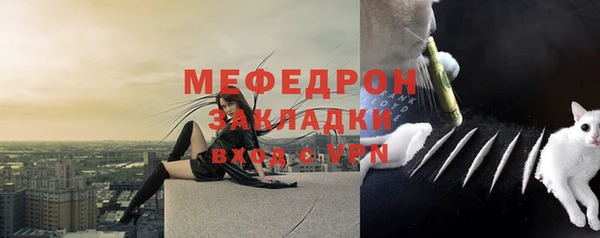 индика Мегион