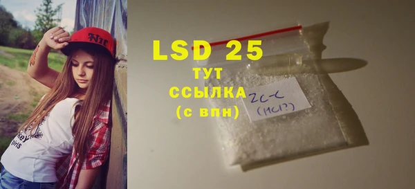 индика Мегион
