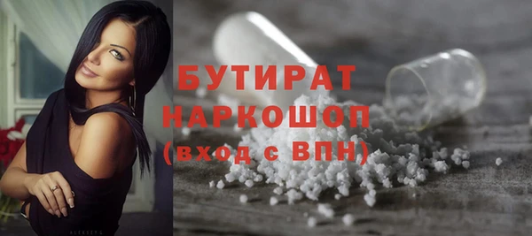 индика Мегион
