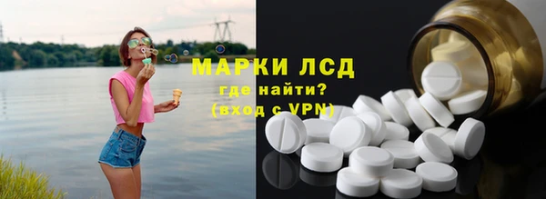 индика Мегион