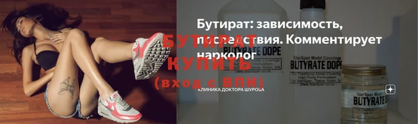 индика Мегион