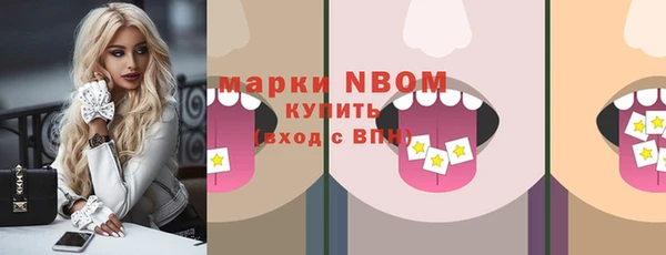 гашик Медногорск