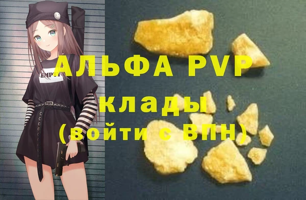 индика Мегион
