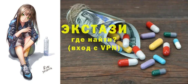 индика Мегион